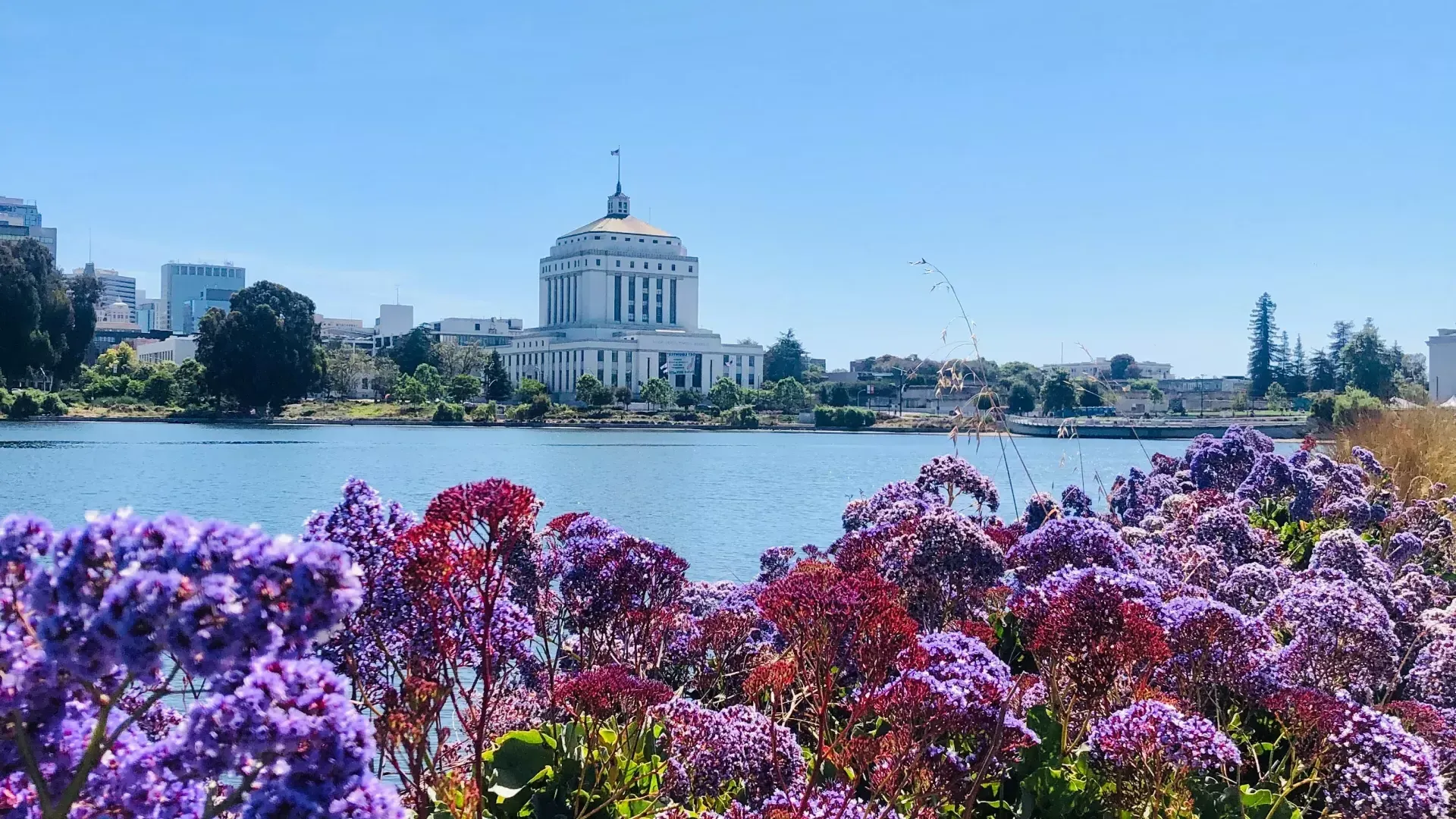 Lake Merritt in Oakland.